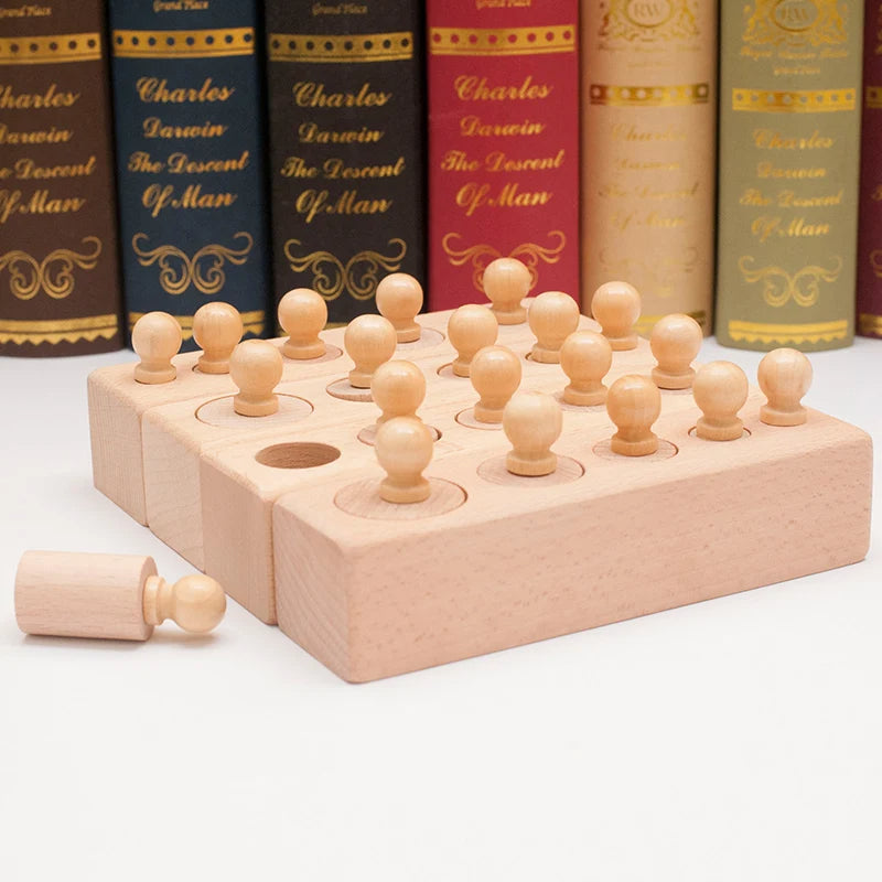 🔵 Montessori Knobbed Cylinder Socket